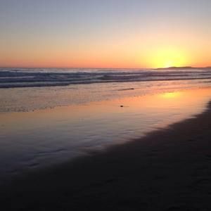 Meet your Posher, Niki